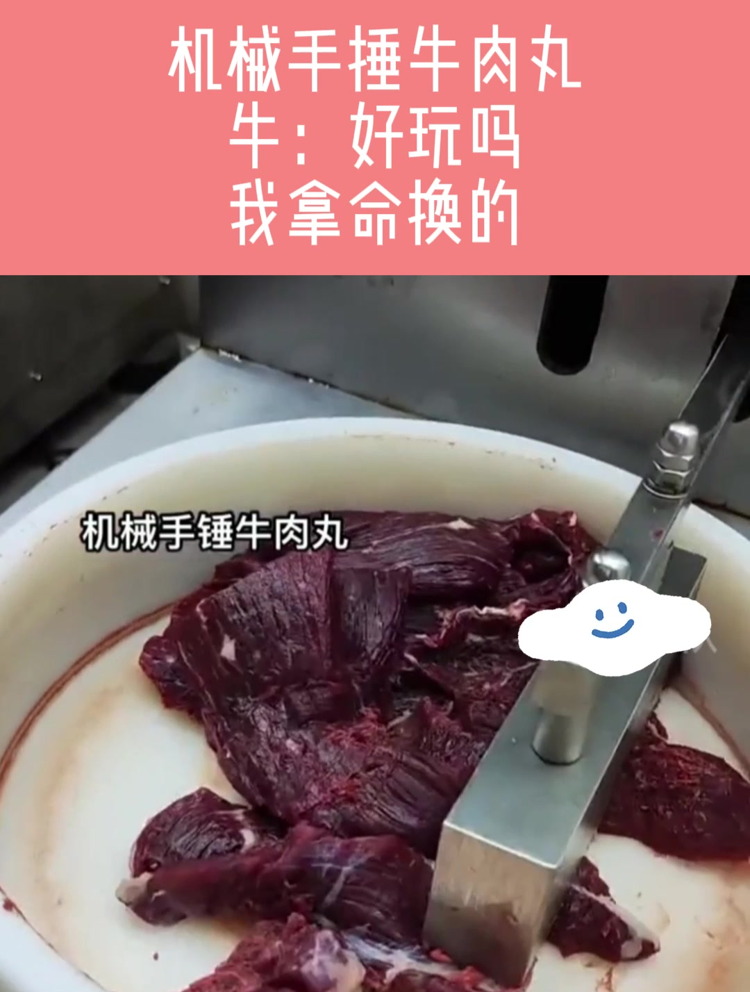 机械手捶牛肉丸,牛:好玩吗?我拿命换的!