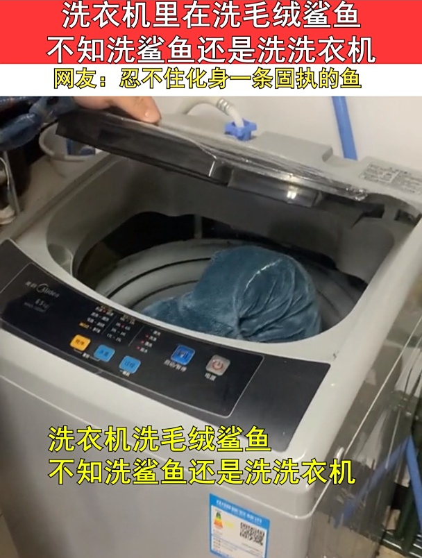 洗衣机里在洗毛绒鲨鱼,网友:忍不住化身一条固执的鱼