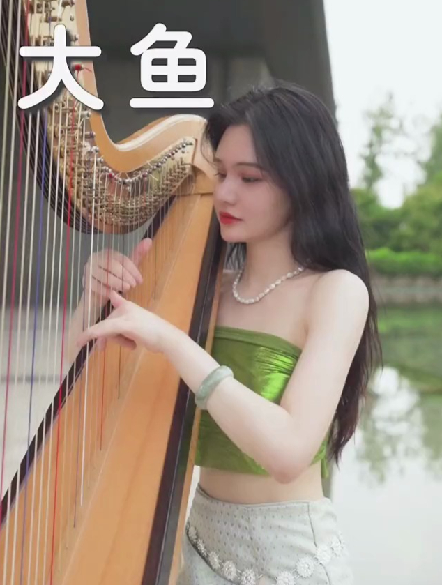 爱一个人,攀一座山,追一个梦,不妨大胆一些《大鱼海棠》竖琴