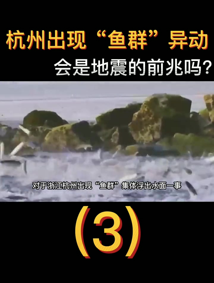 浙江杭州出现“鱼群”异象,大量的鱼集体浮出水面(3)