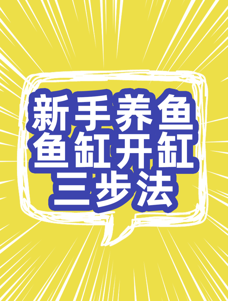 新手必看,新鱼缸开缸3步法,让你养鱼无忧!