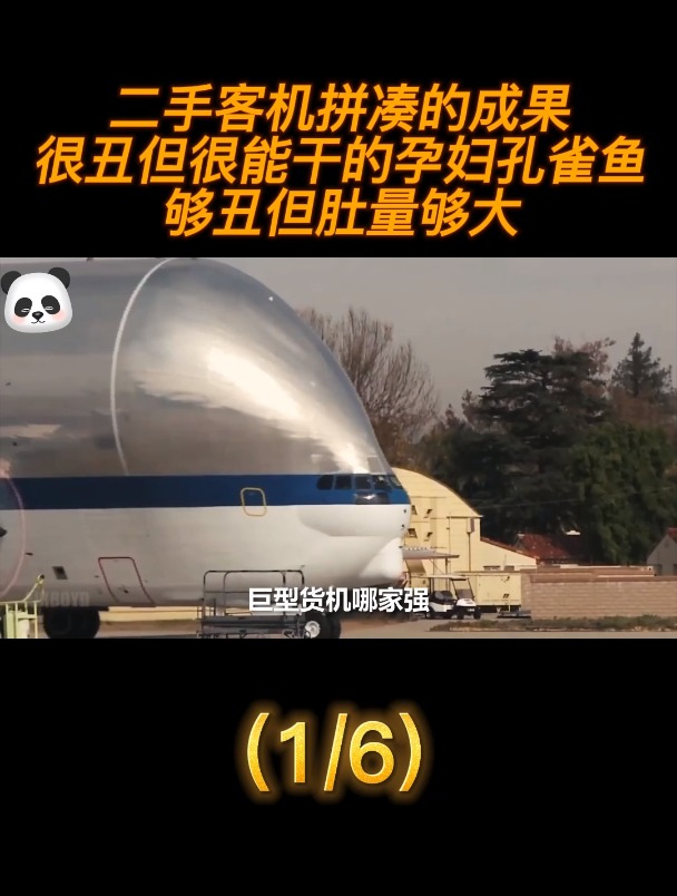 二手客机拼凑的成果,很丑但很能干的孕妇孔雀鱼,够丑但肚量够大