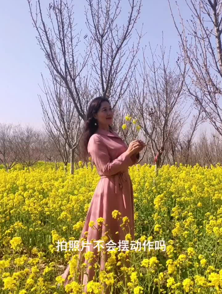 背影技巧跟着贾老师学习拍照口令,如何拍好油菜花的照片?