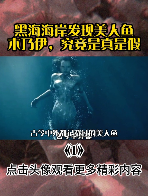 黑海海岸发现美人鱼木乃伊,究竟是真是假