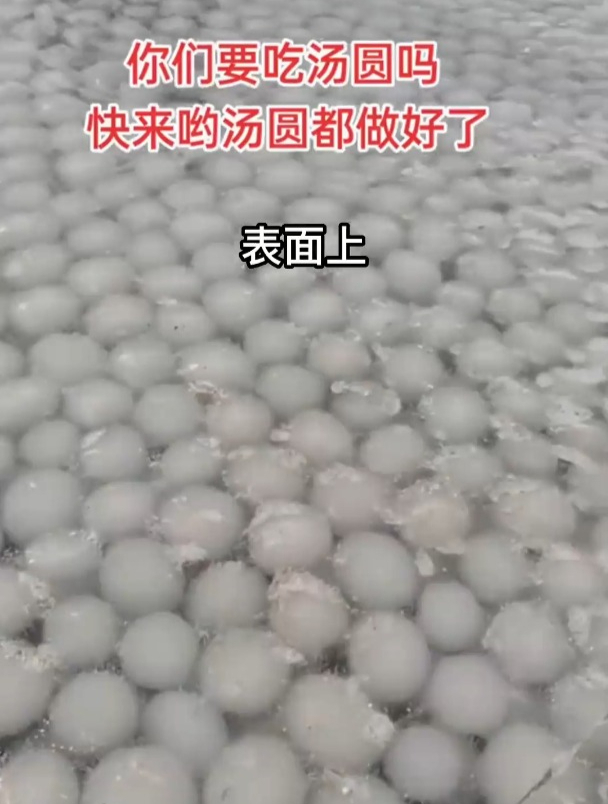“冰汤圆”到底是怎么形成的?山东地理题越来越抓马了!