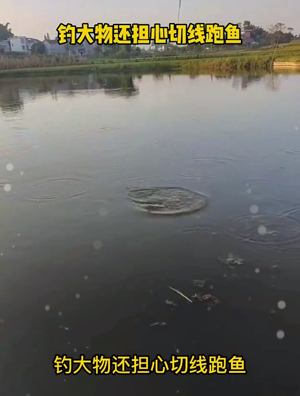 钓大物担心切线跑鱼?“线组”的选择很重要,选对不花冤枉钱!