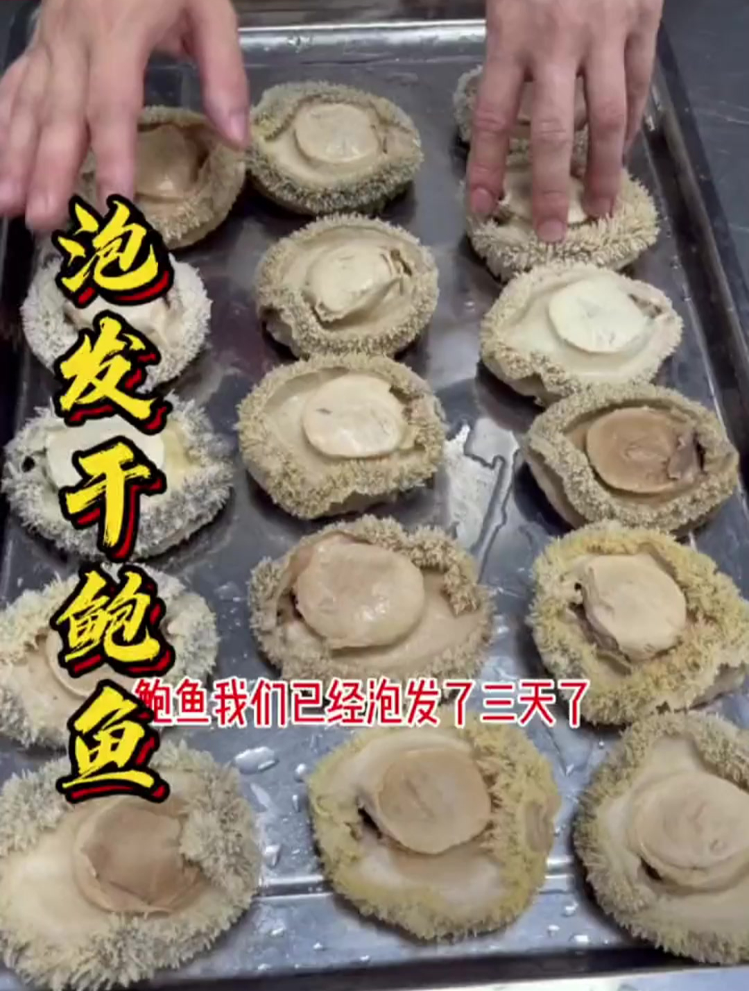 干鲍鱼要怎么泡发?粤菜大厨详细标准做法简单实用!