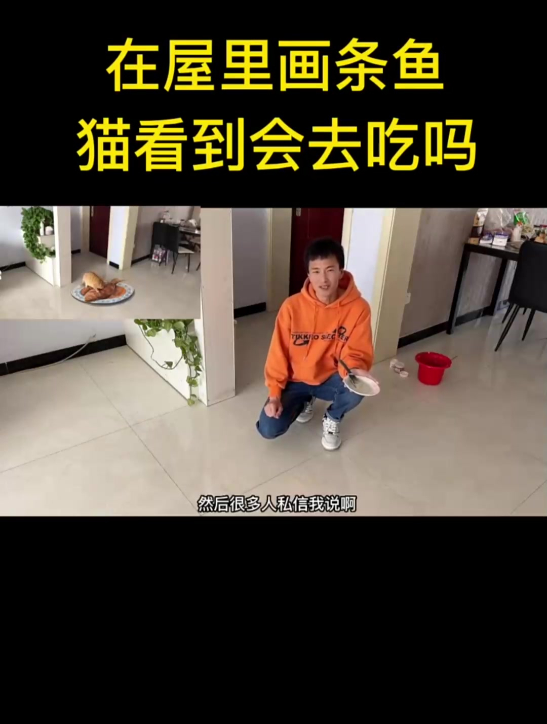 在地上画一条鱼,猫看到会去吃吗?