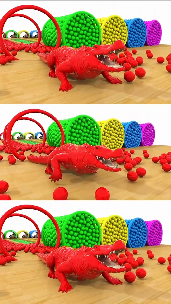 凶猛的大鳄鱼游泳,上岸就变了颜色,又凶又可爱