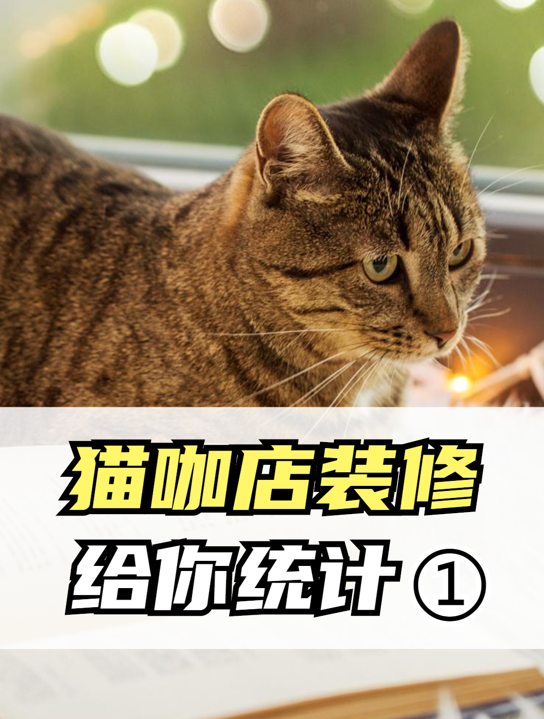猫咖店装修设计报价 南京小面积店铺装修包设计服务 景沐工装公司
