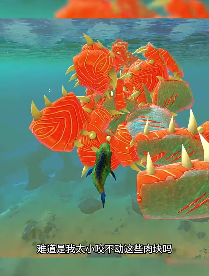 我师父竟然被红魔鱼打败了,今天就去找红魔鱼算账!