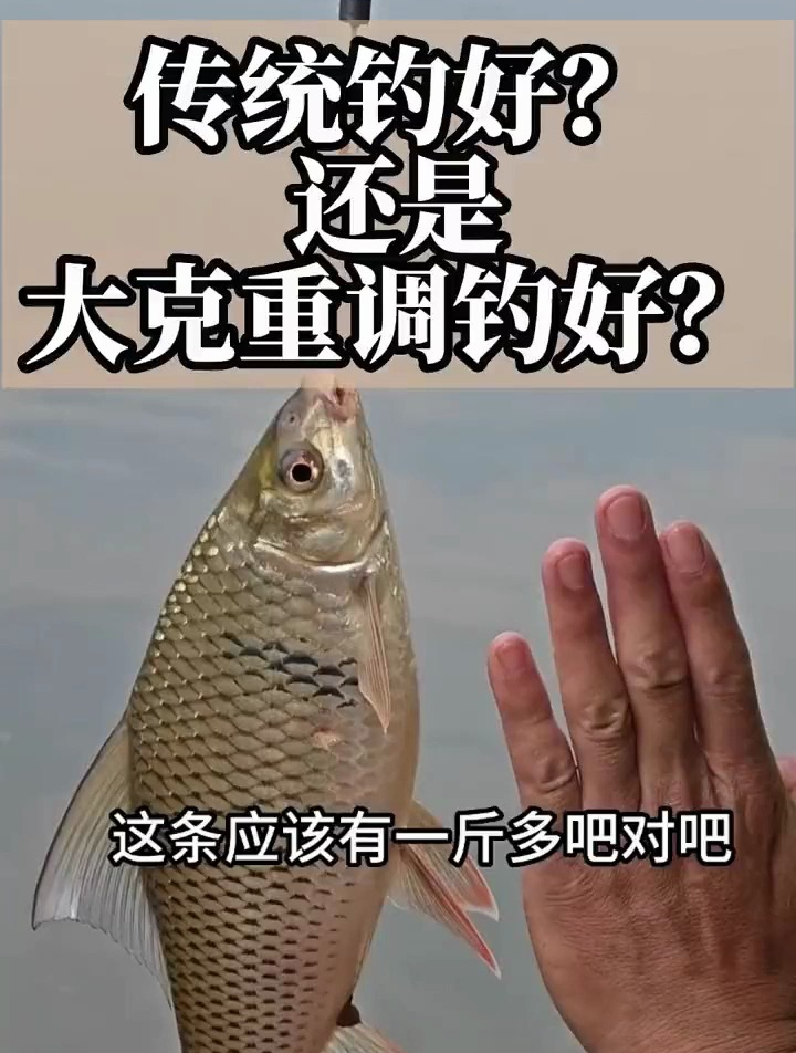 钓土鲮是传统重铅好,还是大克重浮标调钓好?