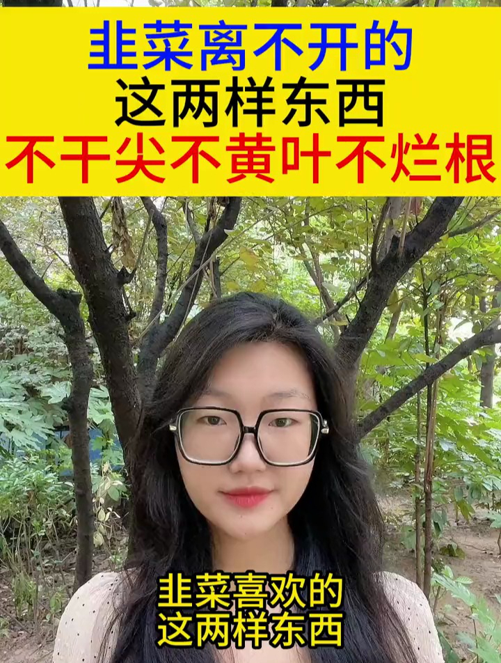 韭菜离不开的这两样东西,不干尖不黄叶不烂根
