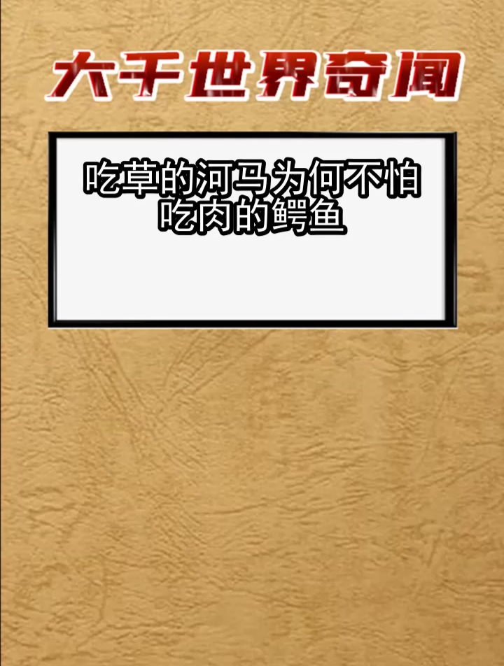 吃草的河马 为何不怕吃肉的鳄鱼