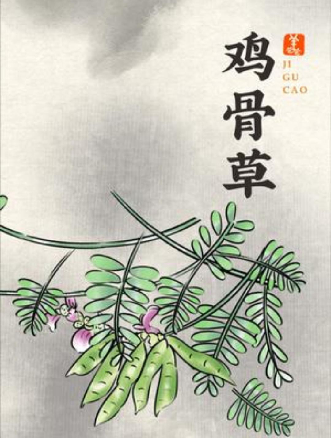 鸡骨草,脸色发黄怎么办