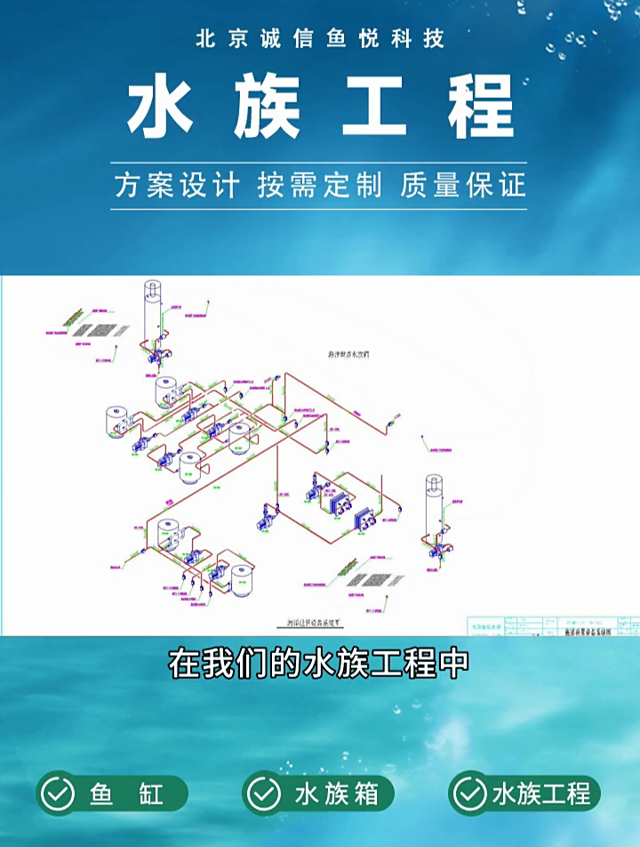 亚克力鱼缸,可以清晰看见鱼儿在水中自由游动的模样