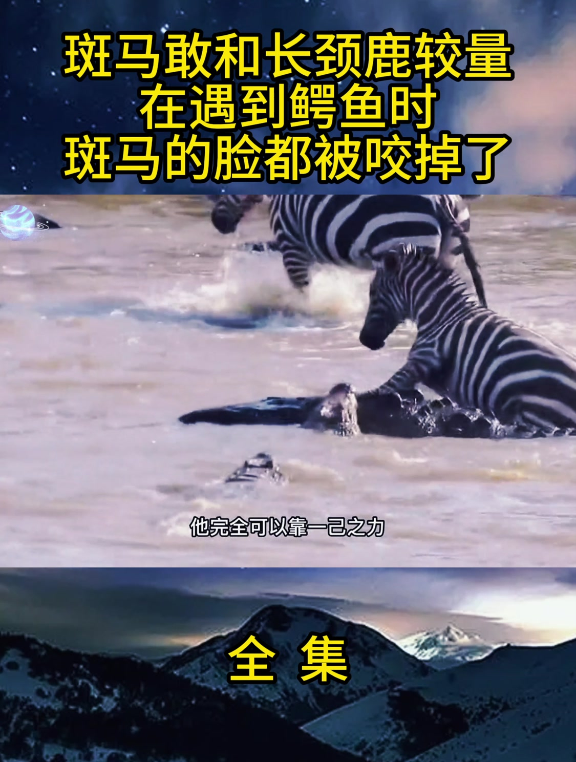 斑马敢和长颈鹿较量,在遇到鳄鱼时,斑马的脸都被咬掉了
