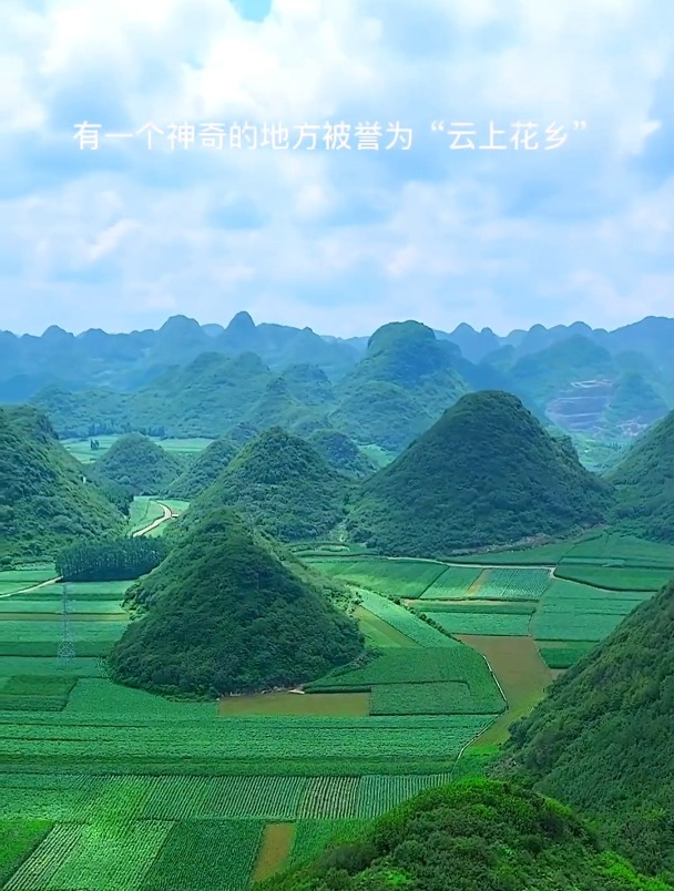 罗平金鸡峰十万大山里藏着一个种满花海的小村庄