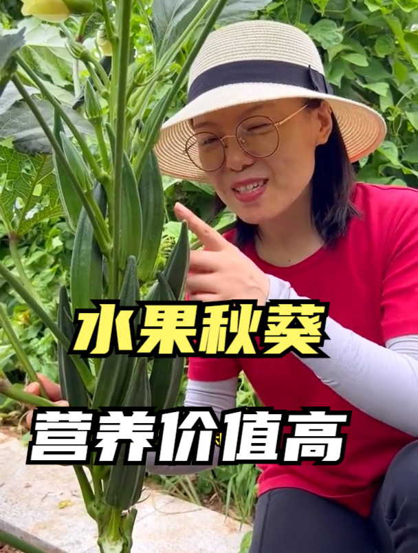 秋葵好吃,却不能乱吃,入夏吃秋葵有1大禁忌,搞清楚在吃!