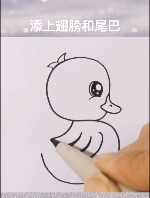 用S画一只超可爱的小鸭子,喜欢的收藏哦