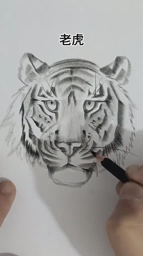 铅笔画虎,简单有趣的画法!作者:小树爱画画
