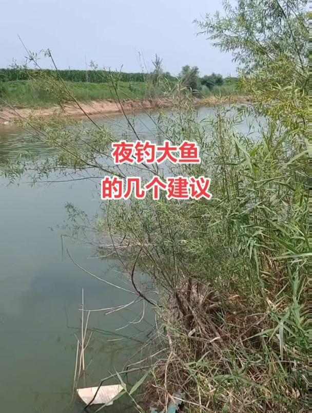 夜钓想要钓大鱼?这几个技巧先摸透,足以应对80%复杂水域!