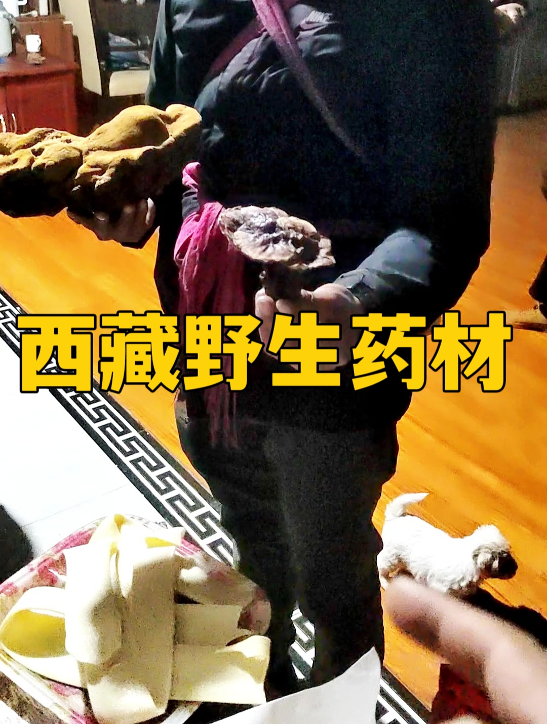 西藏野生的灵芝和桑黄,在本地多少钱一斤?