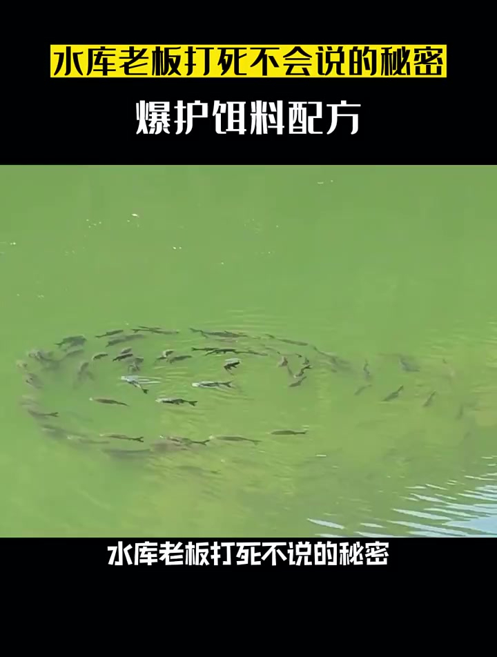 水库老板打死都不会告诉你的爆护饵料配方