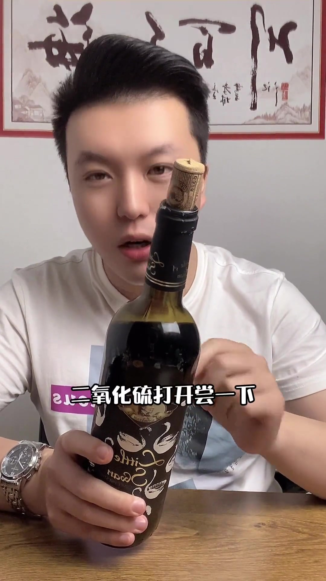 今天测评小天鹅红酒