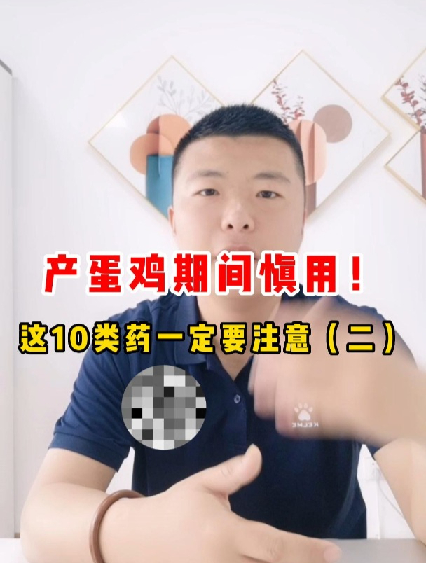 产蛋鸡期间慎用的10类药的危害(二)