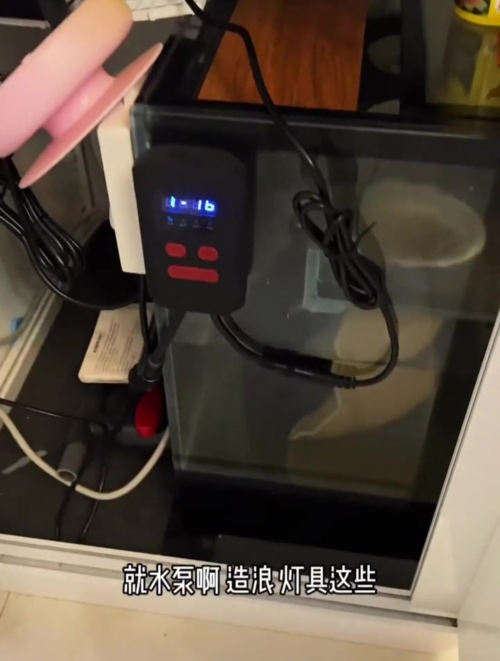 鱼缸设备我觉得最重要的是水泵 你们觉得呢