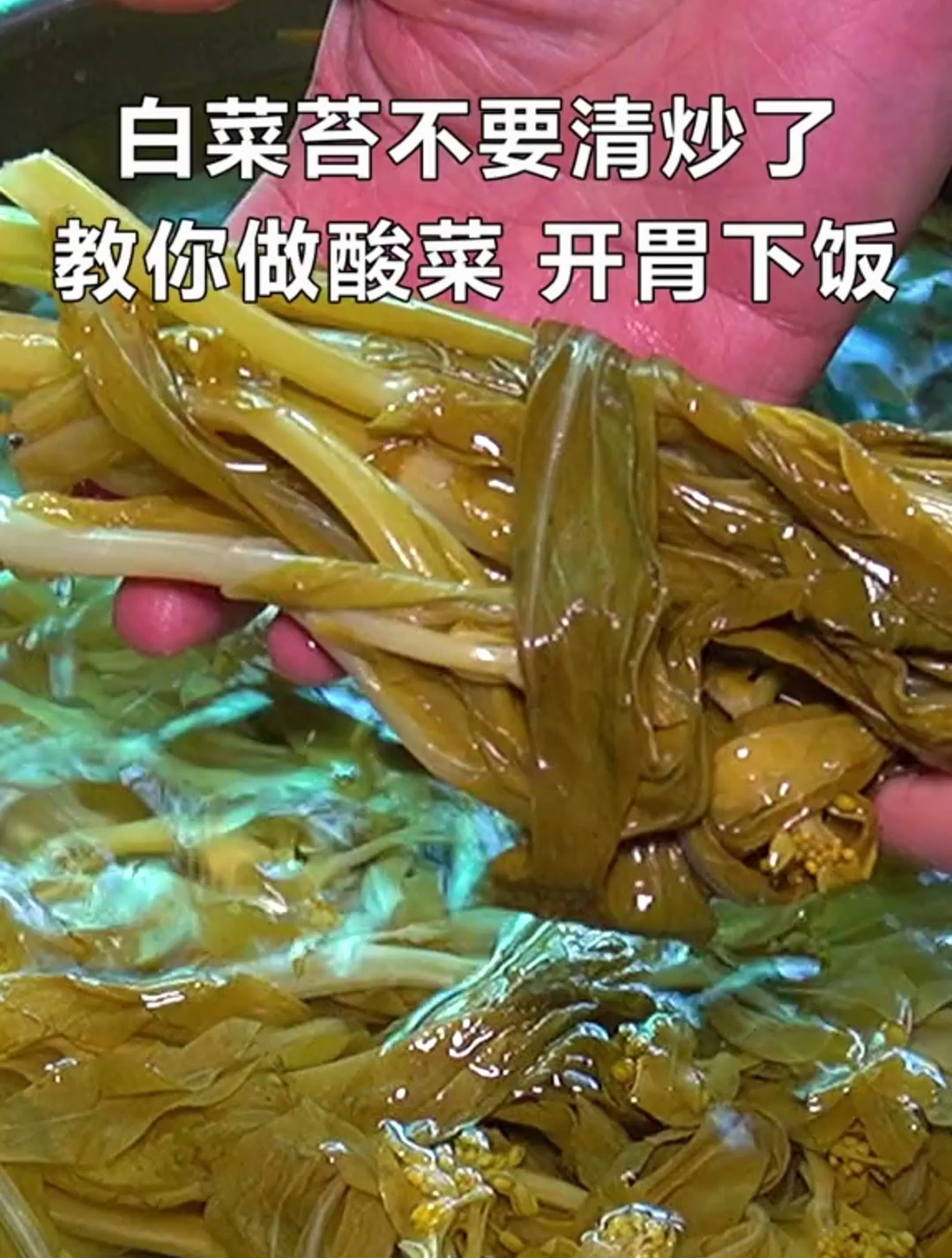 白菜苔快速做成酸菜,酸脆爽口又下饭,今天做明天就能吃