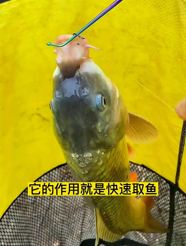 摘鱼直接上手又腥又臭,鱼护加根“针”就够了,上鱼简直太快!