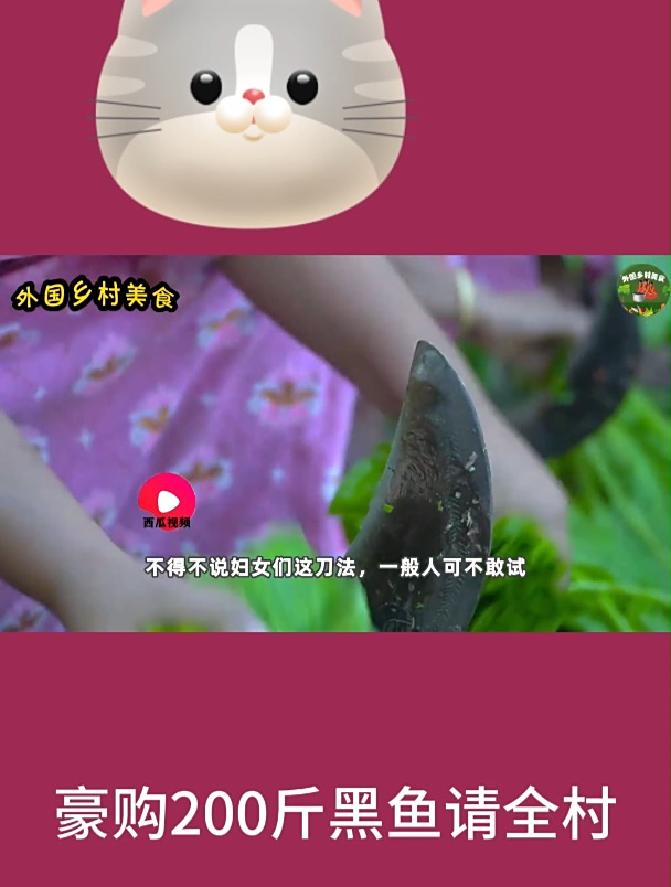 豪购200斤黑鱼请全村1