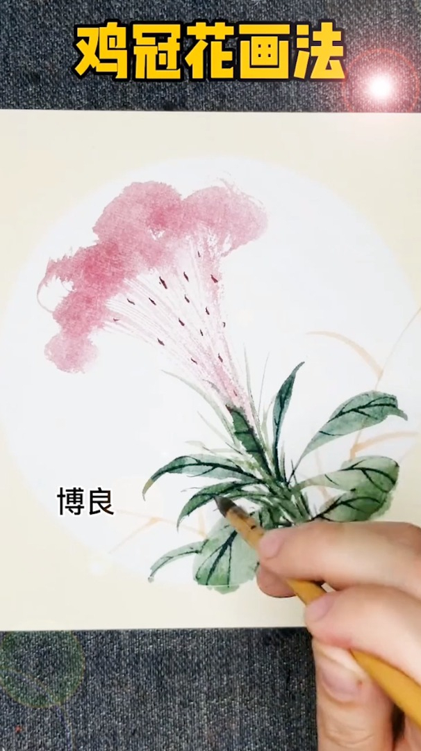 传统国画:画个鸡冠花教程