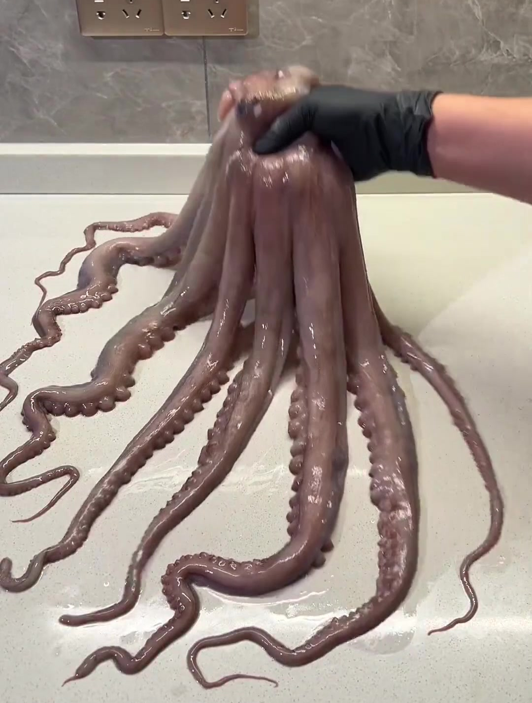 今晚宵夜 捞汁大章鱼 简单吃点