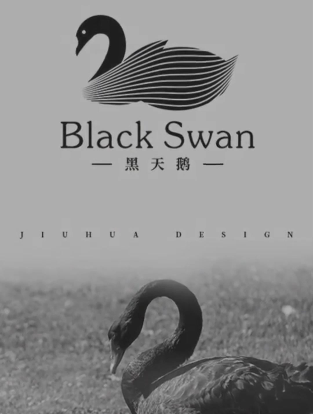见识一下设计师设计的黑天鹅logo,看到最后那一刻,被惊艳到!