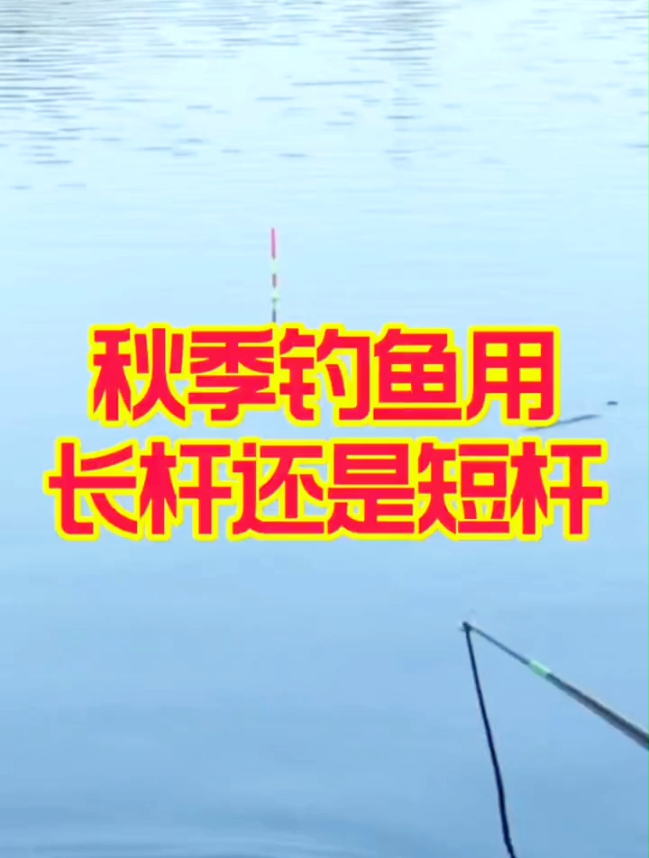 秋季钓鱼用长杆还是短杆?看完这个视频你就明白了
