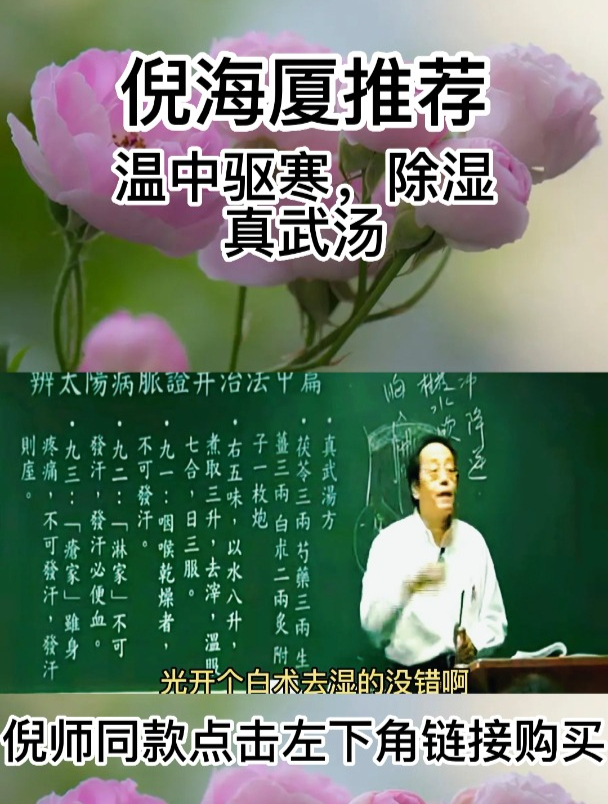 倪老:身边有心下悸动不宁,头目眩晕的人,不妨试试真武汤