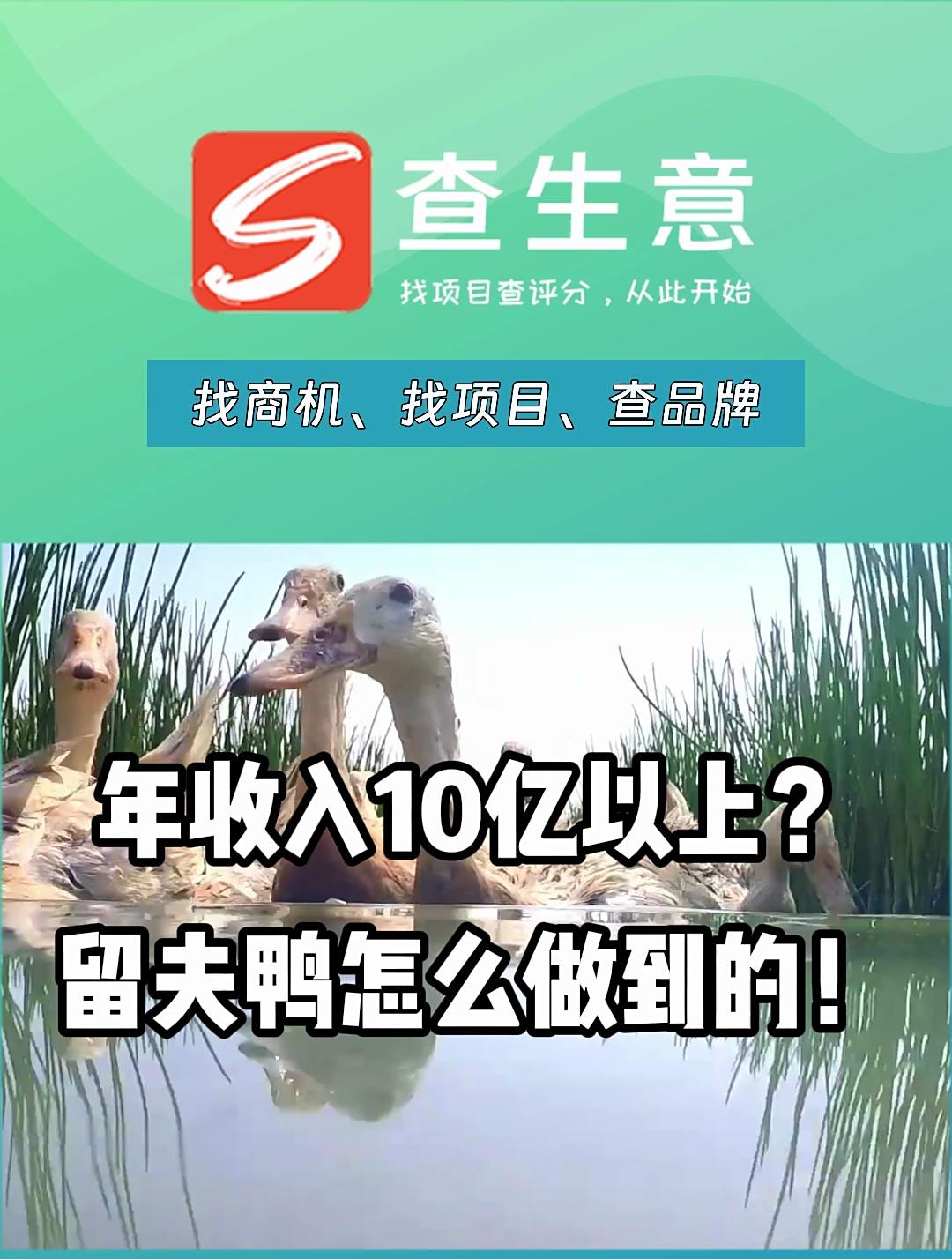 留夫鸭加盟的前景如何,年收入10亿以上靠谱么