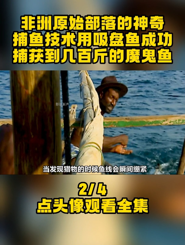 非洲原始部落的神奇捕鱼技术,用吸盘鱼成功捕获到几百斤的魔鬼鱼