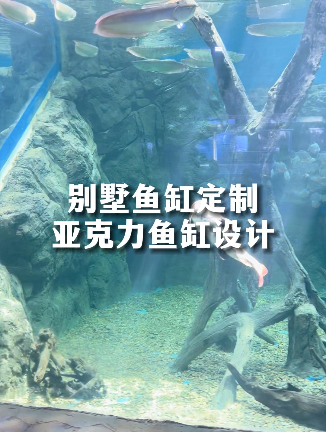 别墅鱼缸定制,专属于您的亚克力鱼缸设计