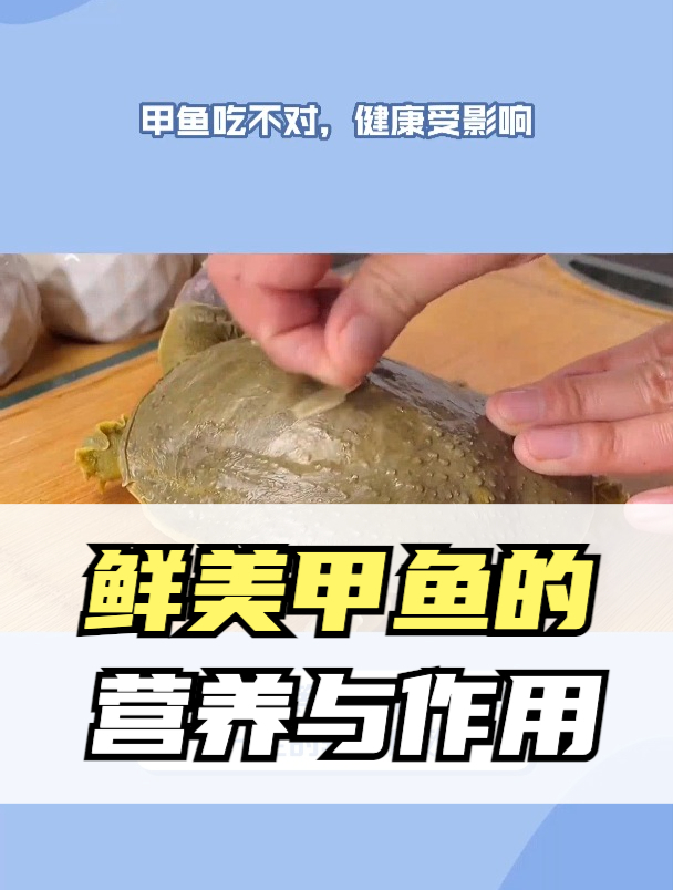 甲鱼的营养功效与价值
