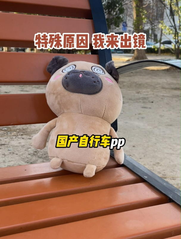 国产自行车品牌,你知道哪几个?