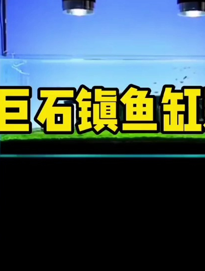巨石阵鱼缸造景?这个简单的巨石阵效果还不错,大家欣赏一下吧!