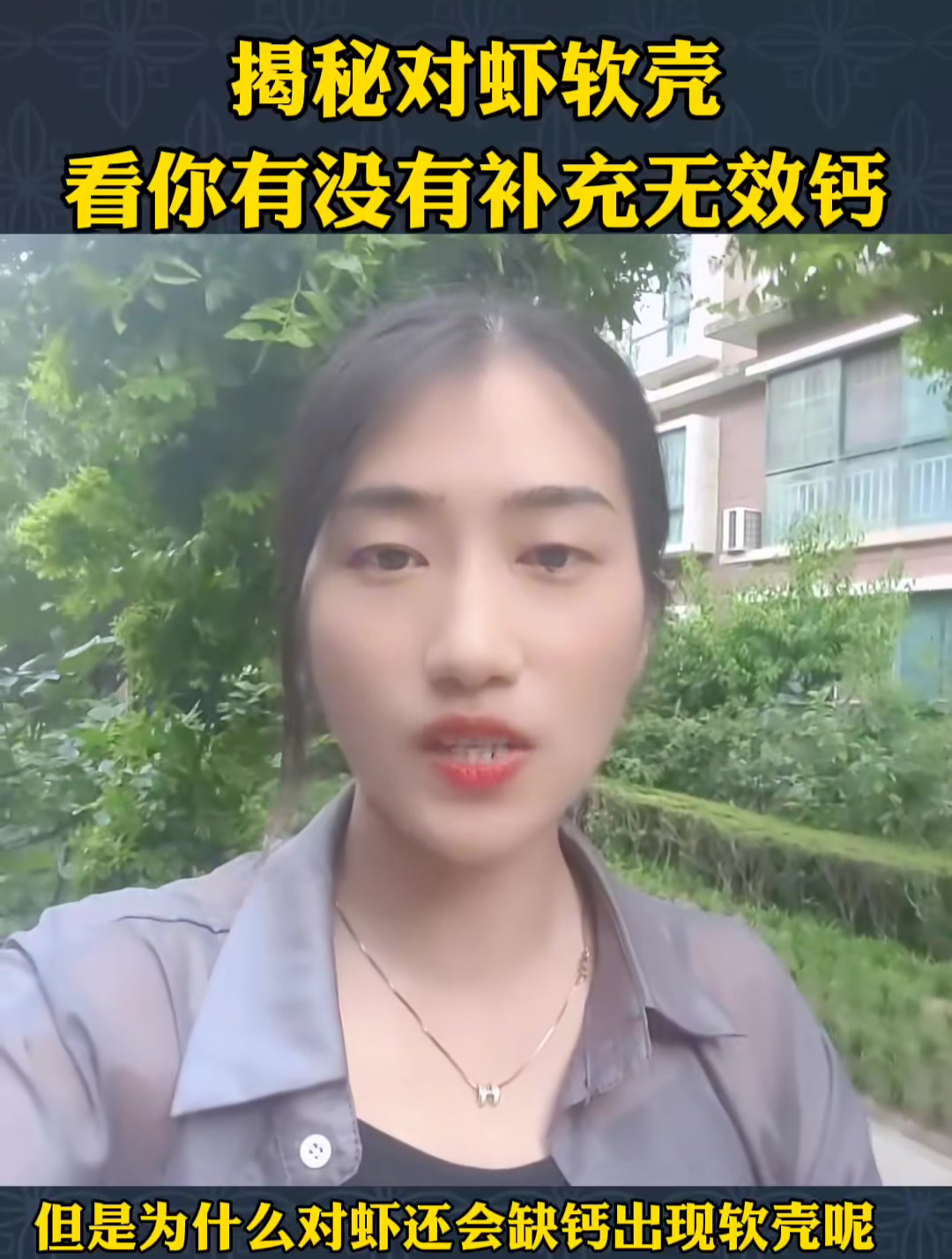 揭秘对虾软壳,看你有没有补充无效钙