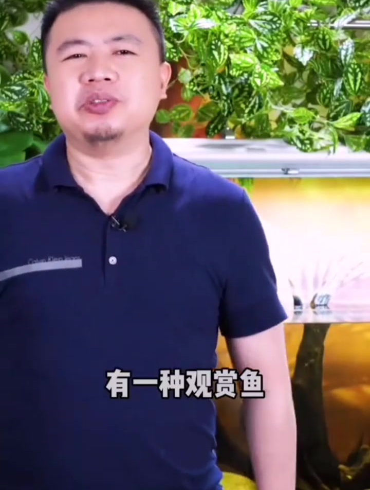 清道夫泛滥本是人类自己的错 为什么有些人要仇恨它