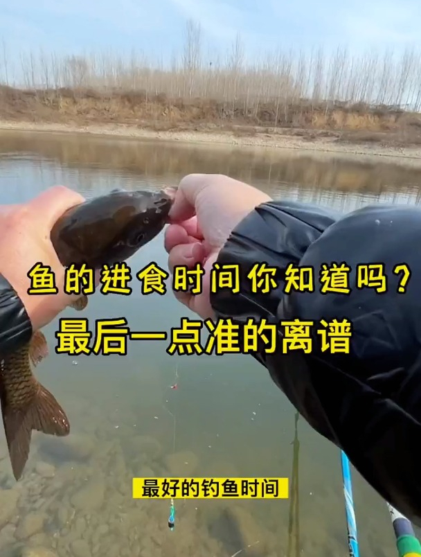 冬季钓鱼,老钓友总结大鱼“吃饭时间表”,看准时机下杆就中鱼!