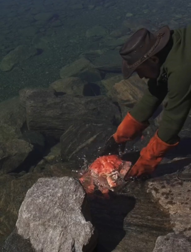 野外帝王蟹盖饭!