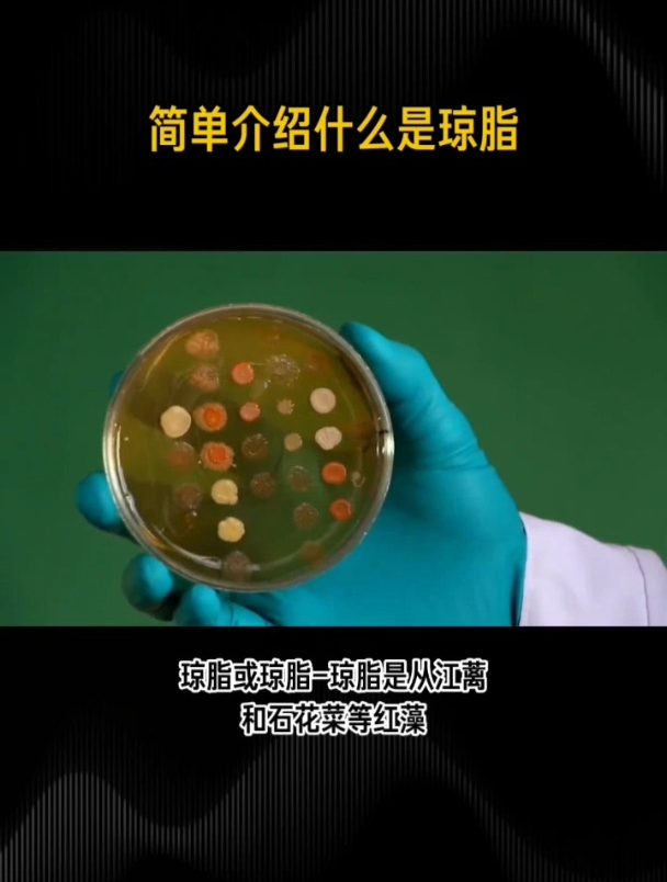 简单介绍什么是琼脂